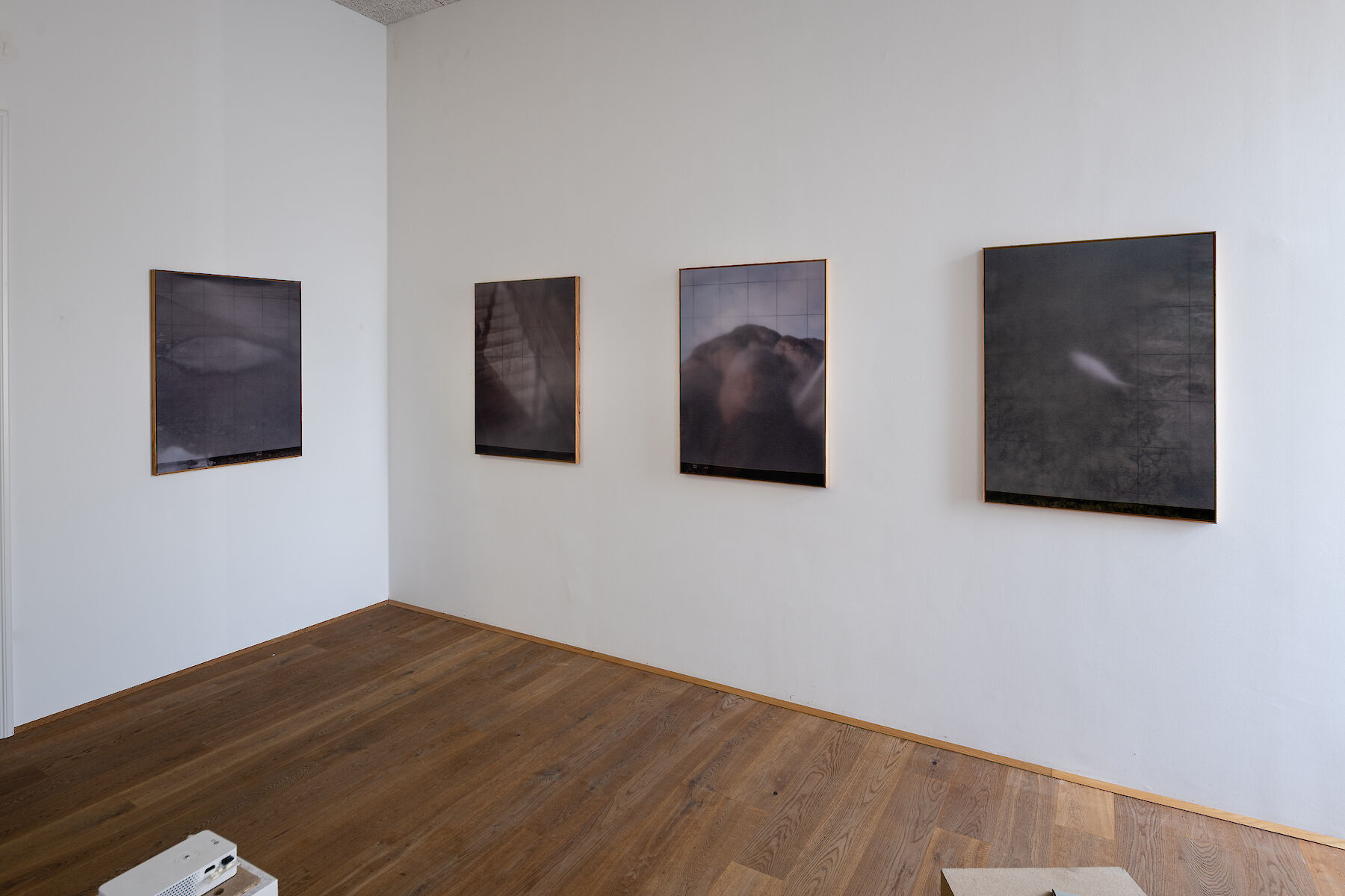 Verena Gotthardt der L ngste Tag Wintergoldkelchen Br tet Klasse Fotografie Gabriele Rothemann